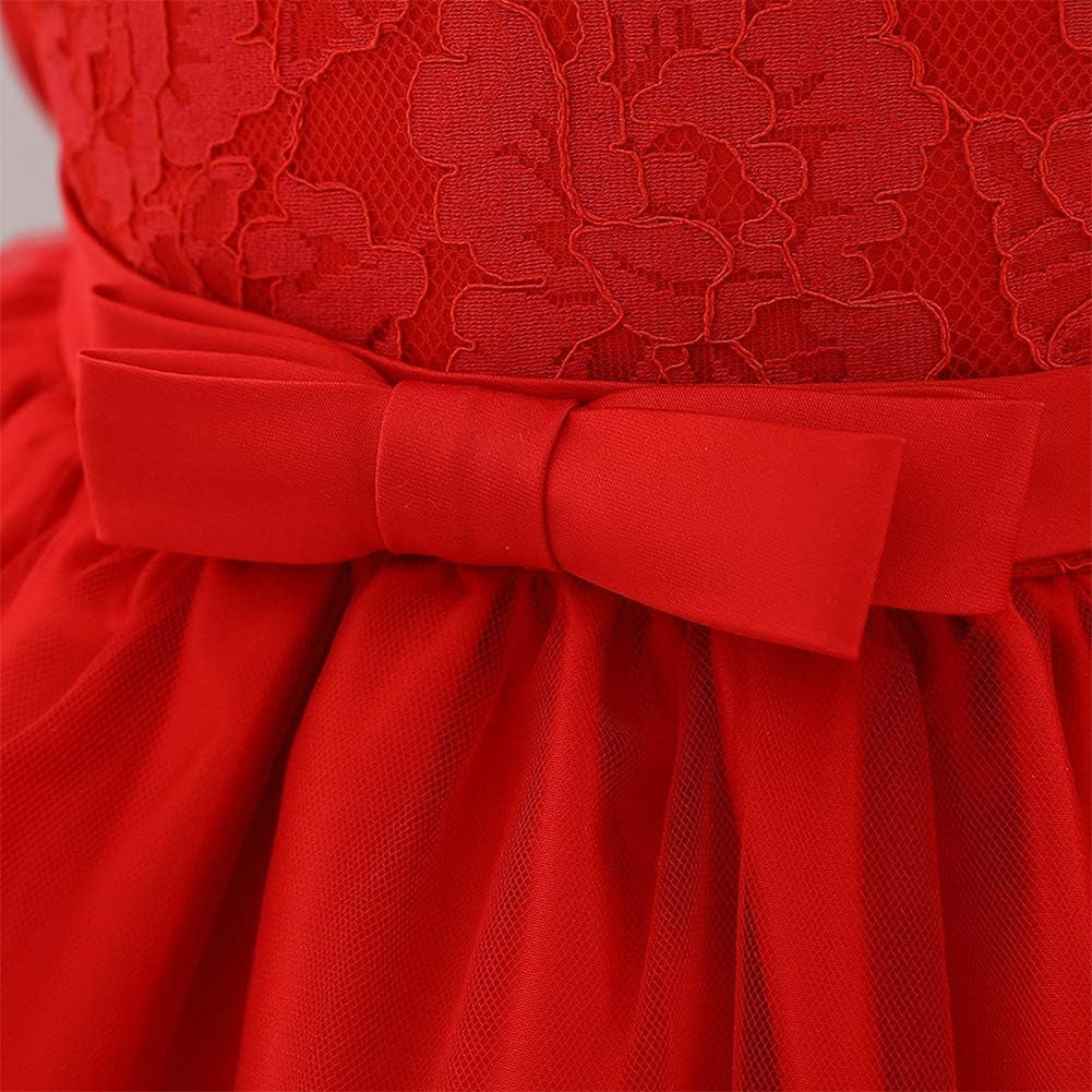 Baby Girl Lace Flower Ruffle Tutu Dress First Christening Baptism Holy Communion