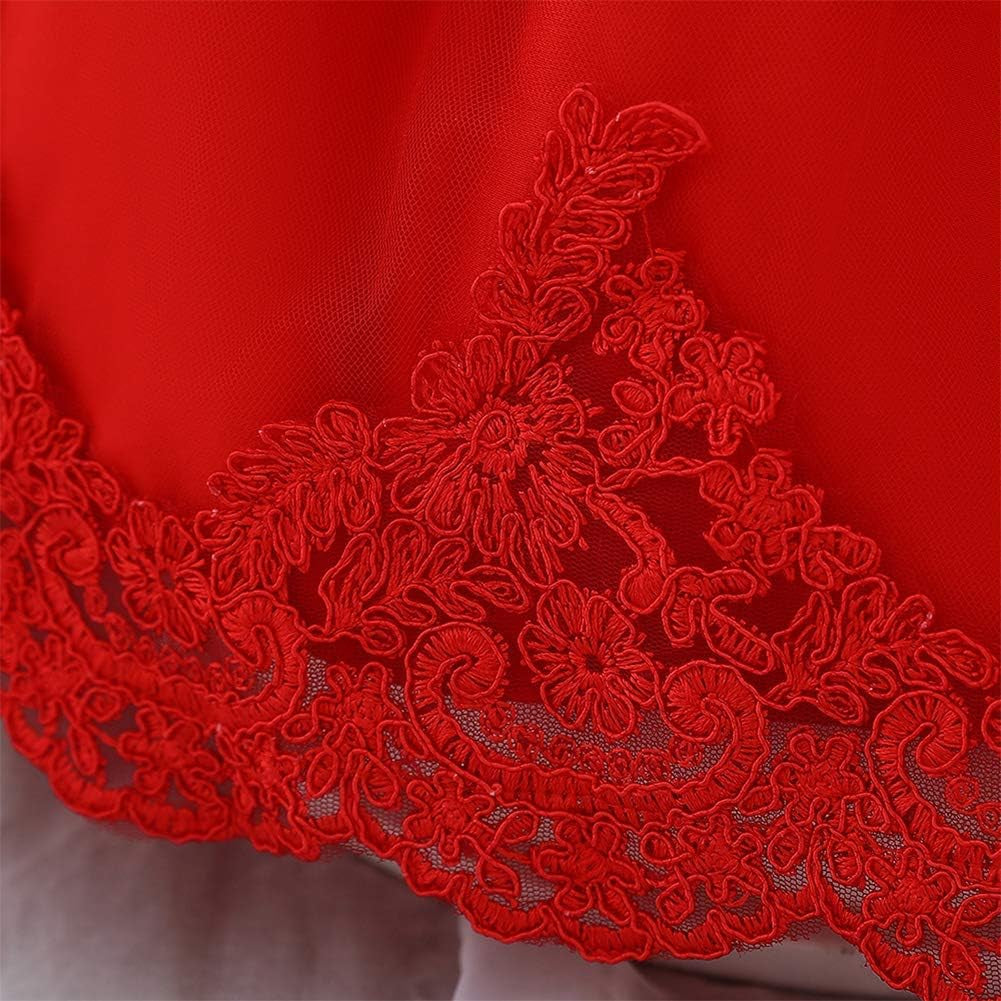 Baby Girl Lace Flower Ruffle Tutu Dress First Christening Baptism Holy Communion